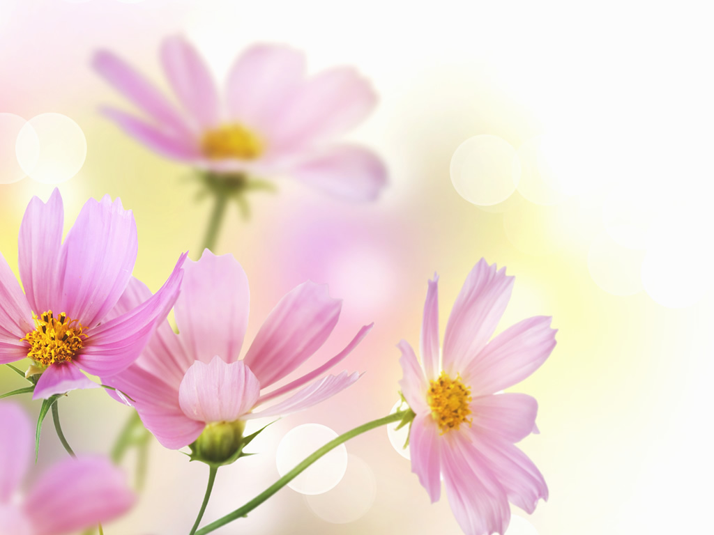 Natalie Clarice Consultation - Loving dating Relationship designer